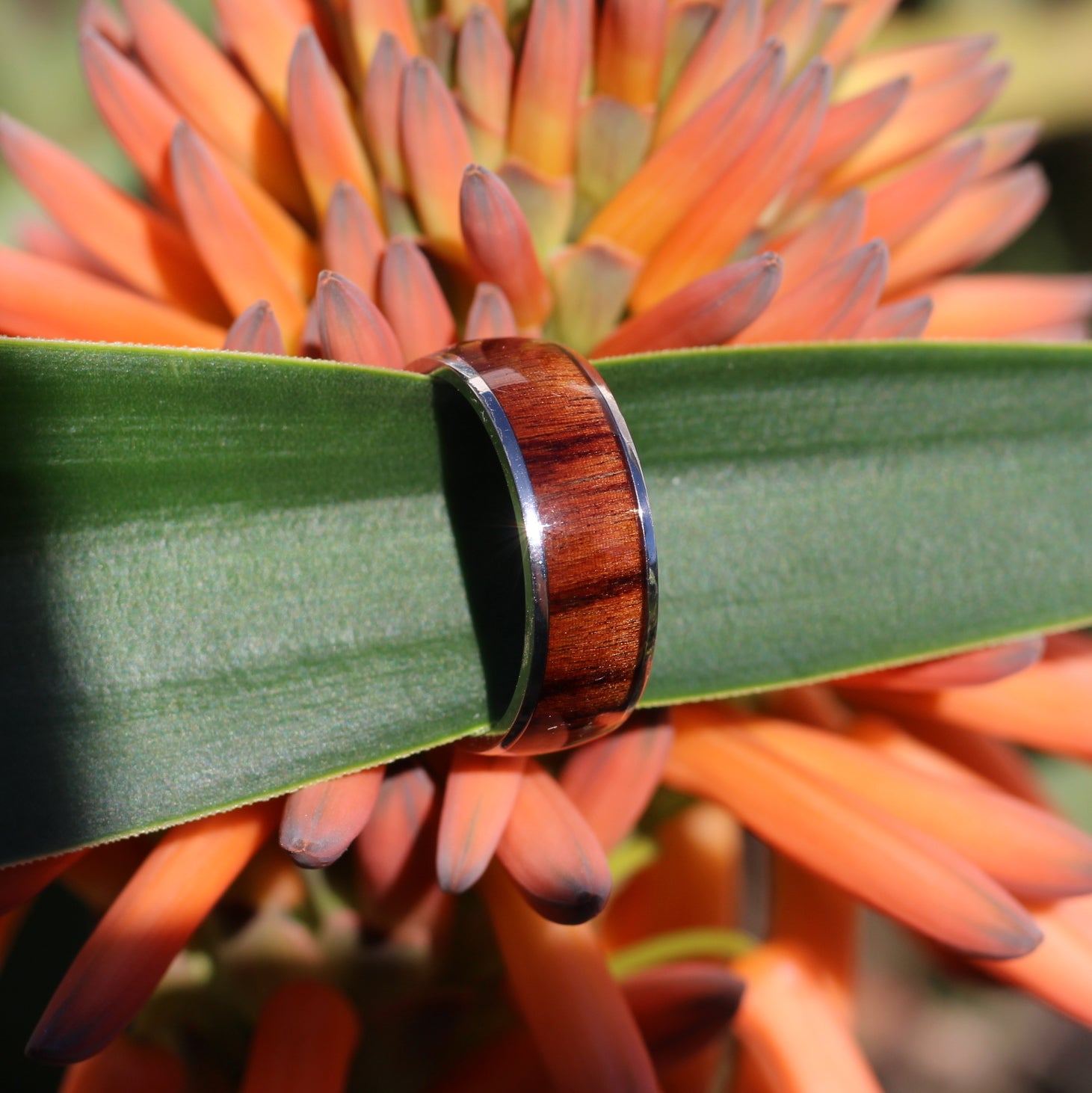Men's silver titantium wedding band with koa wood inlay, gents rings, eco natural wood, free shipping, hashtag bamboo, orbit.