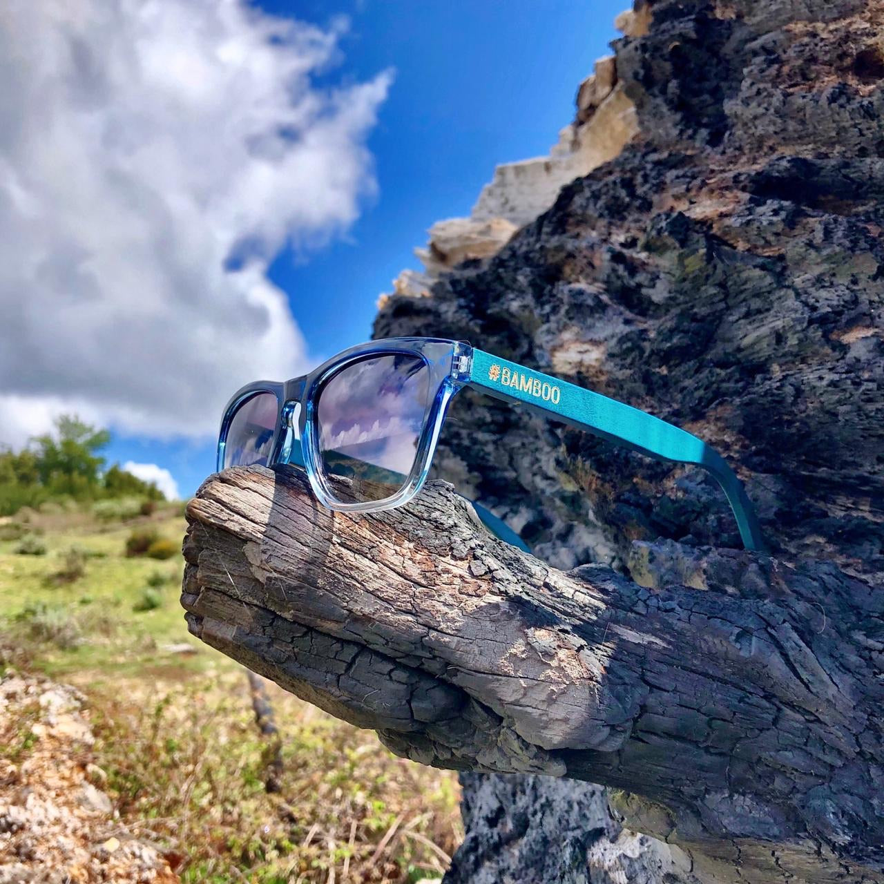 Ladies sunglasses blue ombré frame with teal bamboo wooden arms , polarised. Add your name for R50.