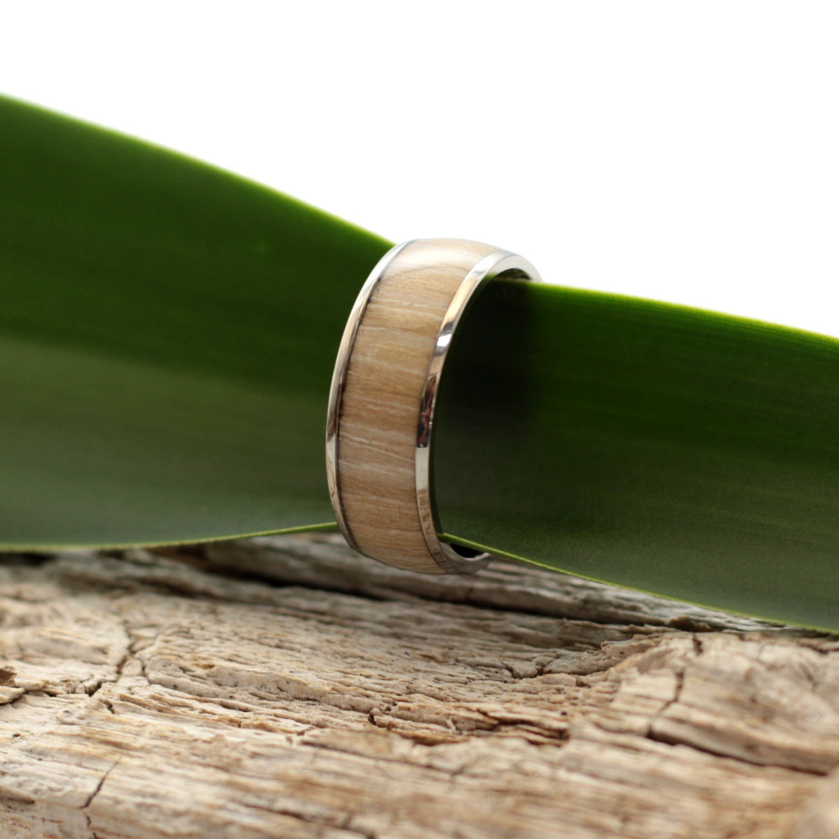 Mens wedding band, titanium ring with wild olive inlay, hashtag bamboo, orbit.