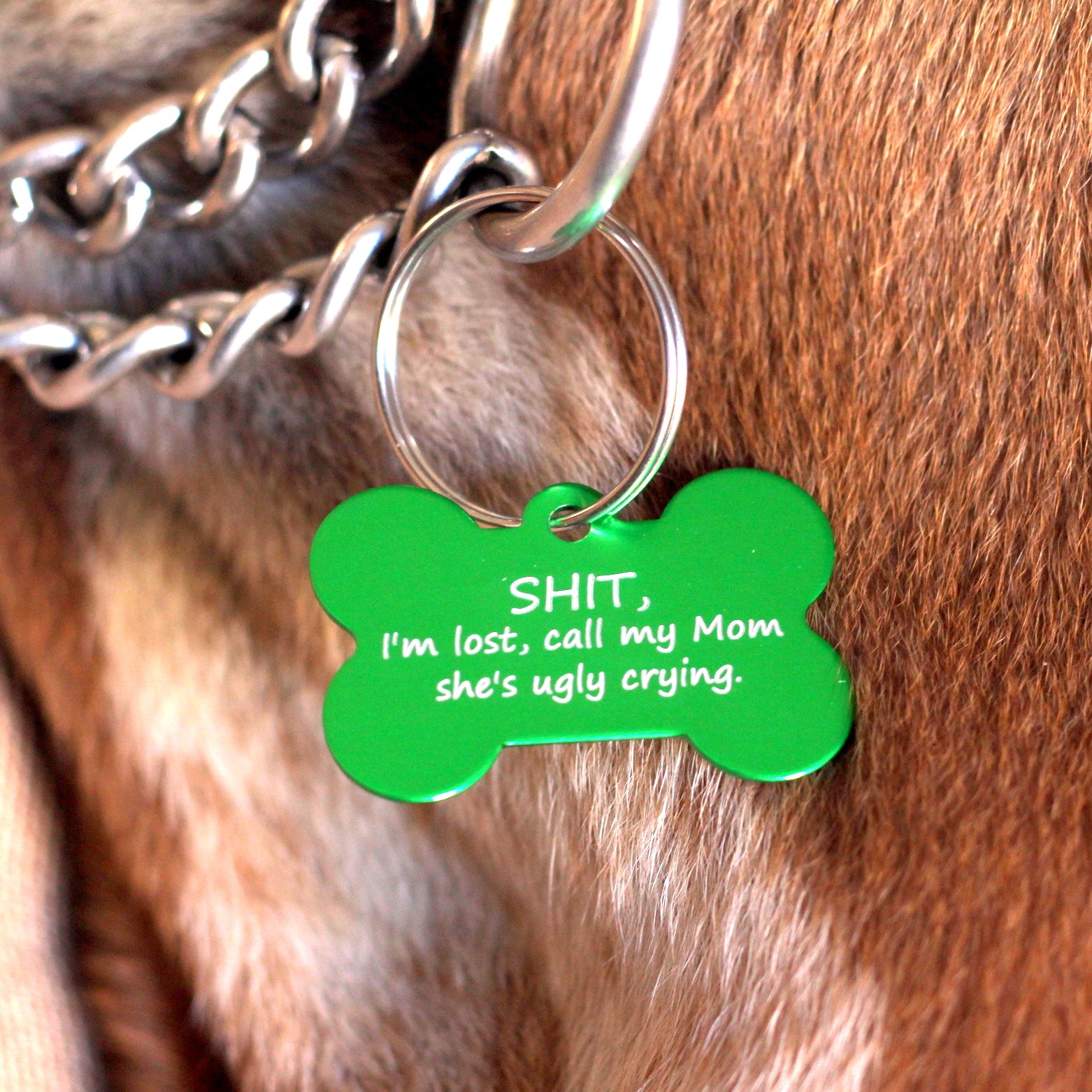 Engravable Pet ID Tag Anodised Aluminium Bone - Hashtag Bamboo